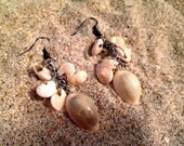 Tan Sea Shell Earrings