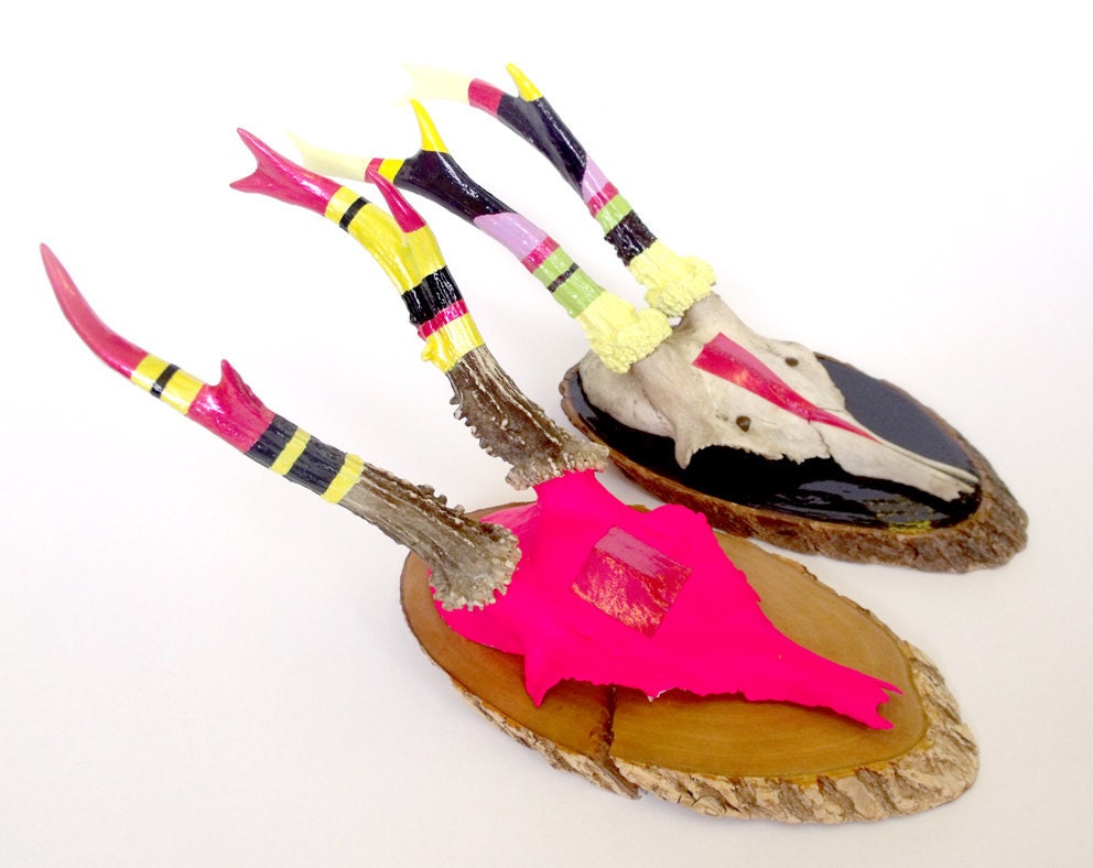 TWO'S COMPANY PAIR of neon bright enamelled painted antique deer skulls and antlers
