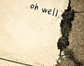 Neighborhood Graffiti Photograph - 8 x 10 - "oh well"