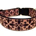 Designer Dog Collar Poochy Couture Pink and Brown Fleur de Lis Adjustable