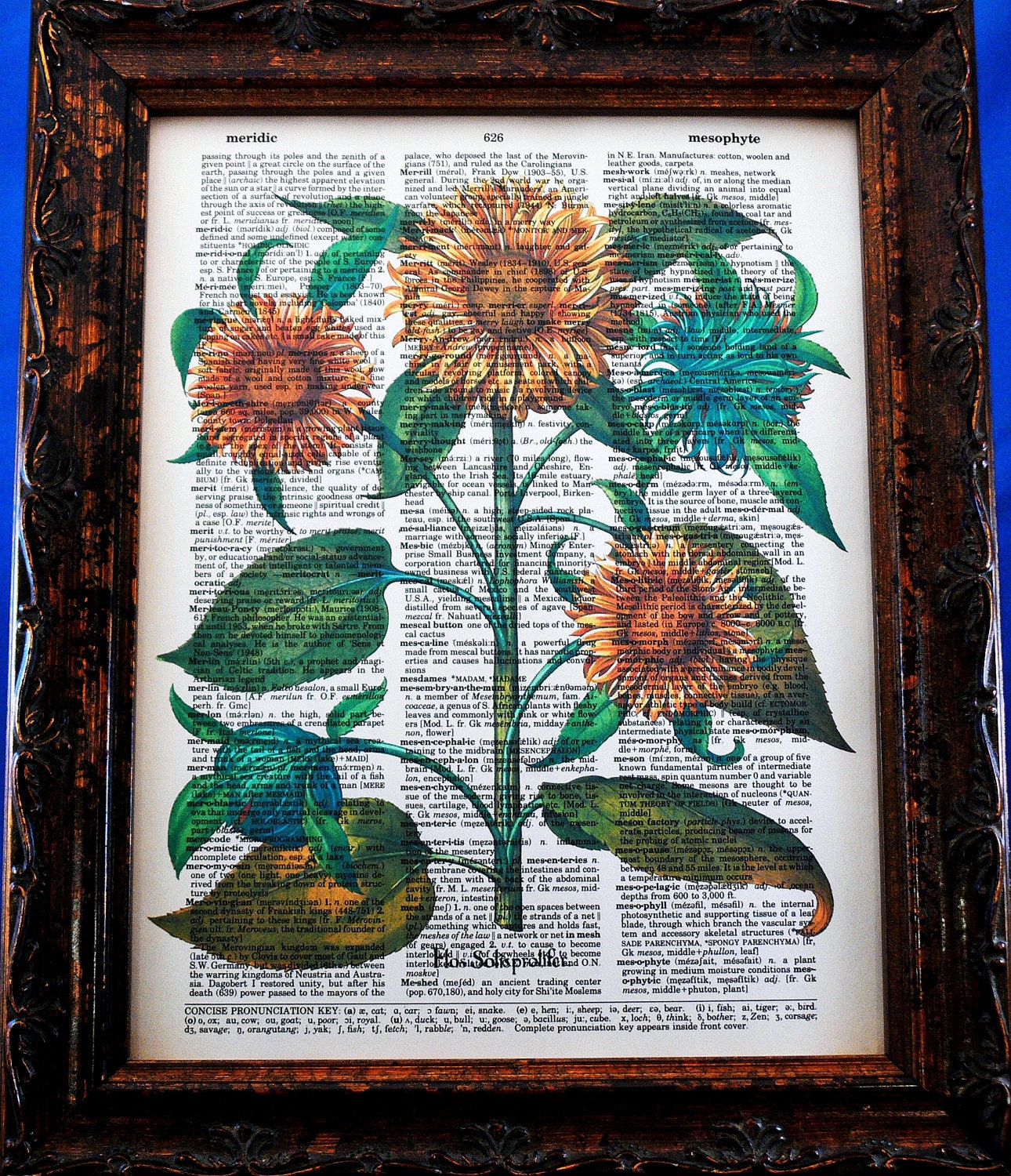 Multiple Sunflowers Art Print from 1713 on Vintage Dictionary Book Page