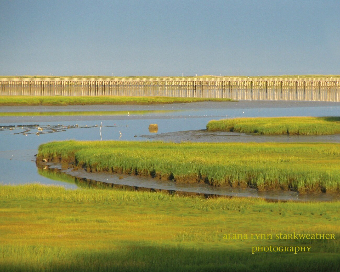 powder point bridge