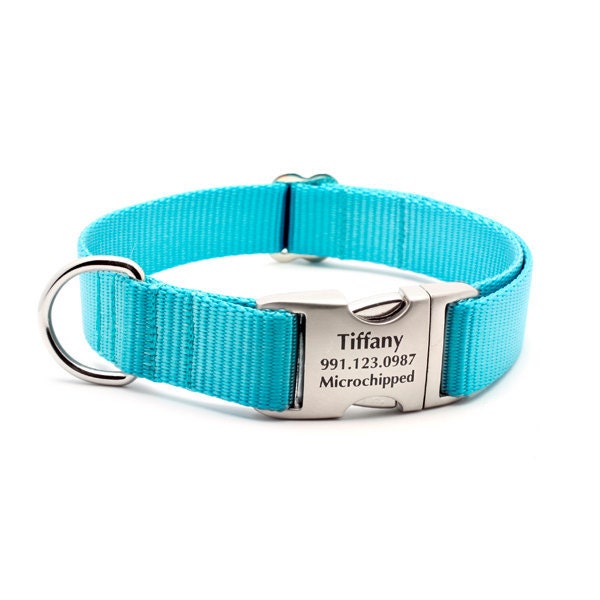 Laser Engraved Personalized Buckle Webbing Dog Collar - Tiffany Blue
