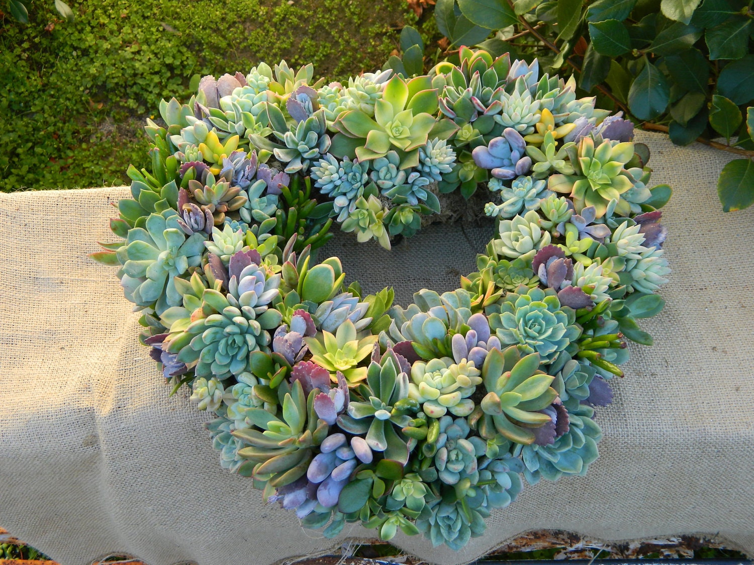 Succulent Wreath, Heart Shaped Succulent Wreath, Wedding, Wedding Decor, Wedding Table, Housewarming Gift