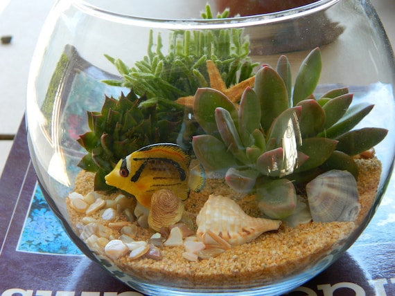 Succulent Terrarium - Succulent Tabletop, Wedding Centerpiece, Special Events Centerpiece, Succulent Planter, Succulent Garden
