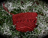 Burgundy Change Purse in Fique from Colombia