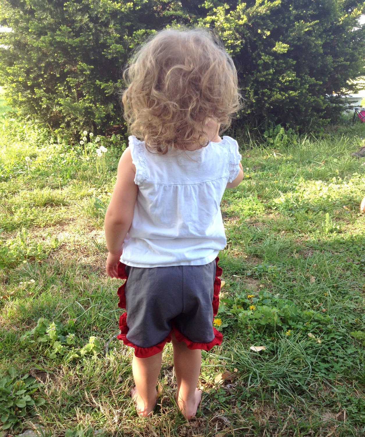 Ruffled Shorts