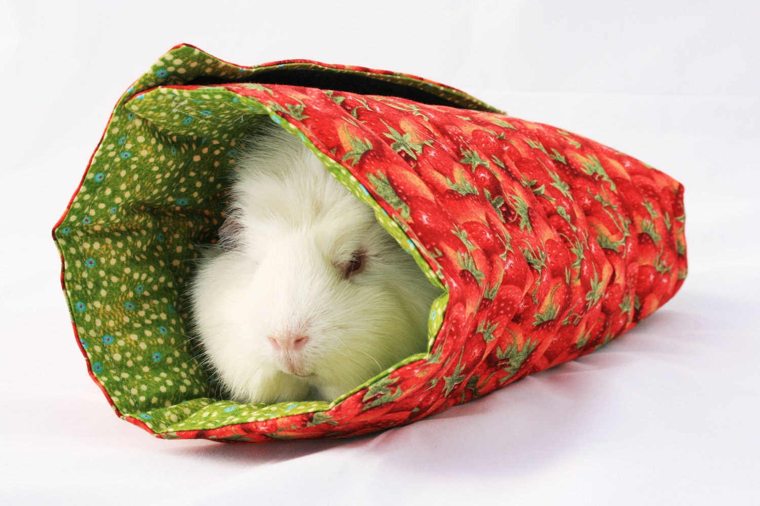 Guinea Pig Roll-ups