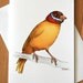Canary in a Mexican Wrestling Mask: A6 Birds in Hats Greetings Card