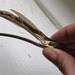 Leaf Hair Clip - Sticky Grip - Gold Tone