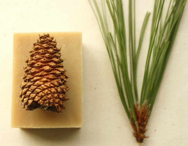 Fir Needle Beer Soap // Beer Soap, Gift for Men, Woodland, Pine,  Handmade Soap, Vegan Soap