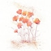 Coral Fields of Love/  Flowers Watercolor Print