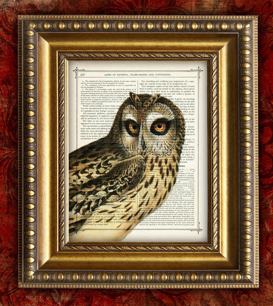 OWL Vintage Art Print on Dictionary Page Art Print or Upcycled Recycled Art Print on Book Page Art Print 8x10 UNIQUE Gift Vintage Art Print