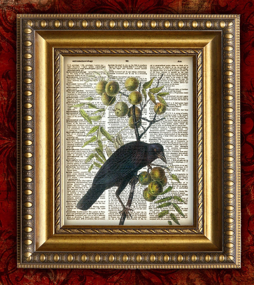 Color Vintage Art Print 8x10 on recycled upcycled Antique 1881 Book Page BIRDS CROW RAVEN 1 Dictionary Art Print b124a