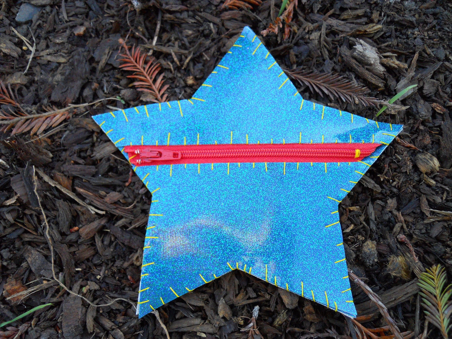 Star Glitter Vinyl Coin Purse