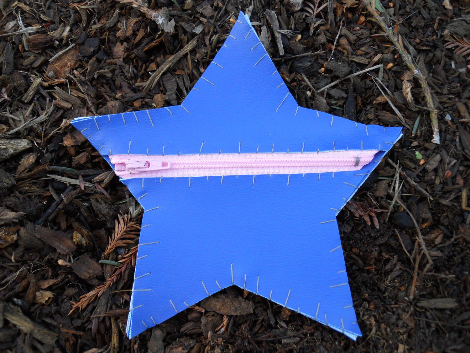 Star Vinyl Coin Purse