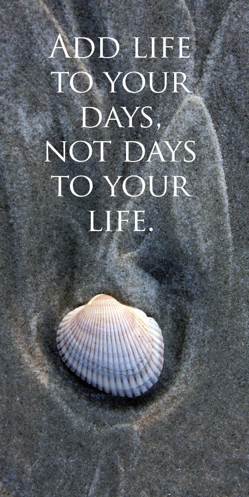Inspirational Quote, White Shell on Gray Pattern Sand, Beach, Coastal, Ocean, Original Signed Quote Print by Photographer, Guy Pushée