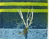 Fine Art Photo etching mono print. Roadside plant. Hand printed, Limited edition