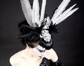 Black and White Feather, Crystal headpiece.