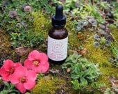 Decadent Love Vanilla Rose Elixir - Organic Herbal Elixir Damiana, Saw Palmetto, Dong Quai, Honey Natural Herbs Herbalism