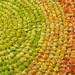 Loops in the Woods - Classic Round and Oval Loop Rag Rugs and One Toothbrush Needle