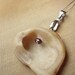 Engraved by the Ocean Peach and Ivory Shell Pendant with Soft Pink and Bordeaux Seed Pearls