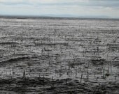 Rain Storm, African Travel Landscape, Lake Langano,  Rainy Season In Ethiopia 8x10 International Photograph