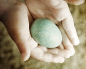 Egg Photo Print, Small, Boy, Hands, Holding,  8x10" Full-Bleed Fine Art Photograph, "Robin's Egg in Good Hands"