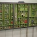 Forest Imp Jewelry Display