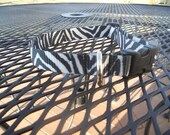 Wild Zebra Stripe Nylon Dog Collar (size small)