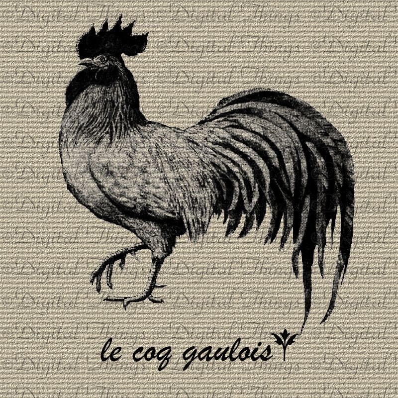 french gallic rooster