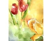 Sunshine Came Softly - Full Sized Print of sunny garden tulips in glowing reds, golds and warm green