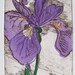 Iris softground etching with chine colle in purple lavender green gold