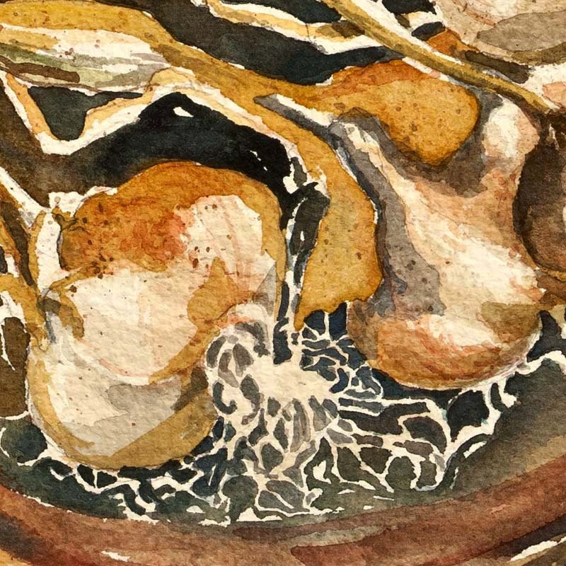 Garlic - Artist's Proof Giclee Print