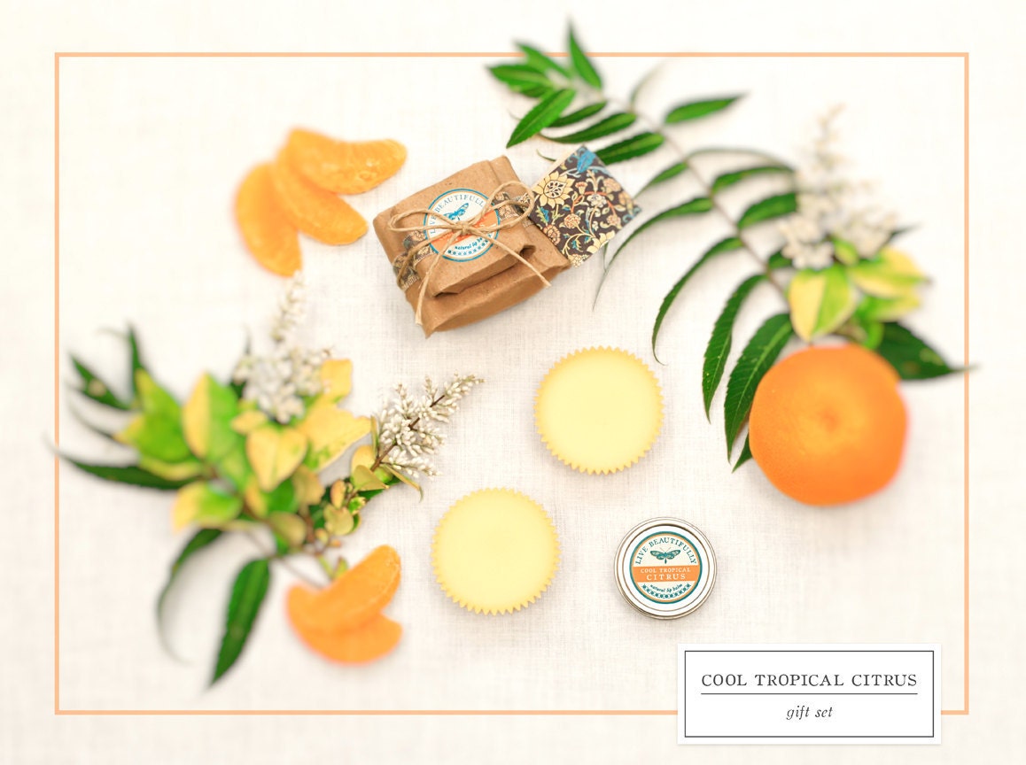 Lip Balm and Lotion Bars - Gift Set, Cool Tropical Citrus - Fresh Lemon, Orange, and Eucalyptus - All Natural
