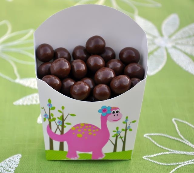 Girls Like Dinosaurs Too, You Know - Party Favors - Glamorous Sweet Events