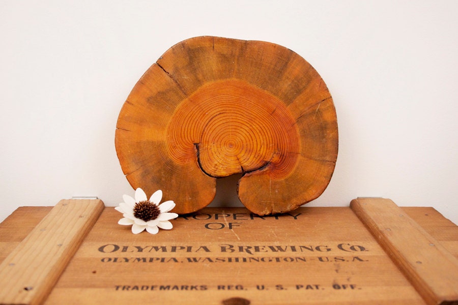 vintage rustic decorative wooden board