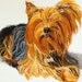 Custom pet portrait 8 x 10 from your photo - dog portrait
