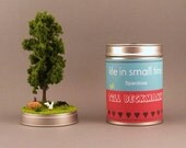 Personalized Piggy Bank . Gift Box . made to order . custom work
