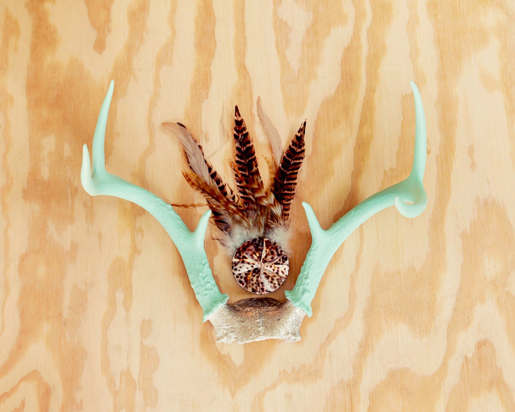teal antlers and feathers still life photo. 8x10