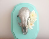 Glitter skull with teal wall mount. 3D art, skull with flowers in it's eye.