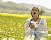 Hypnosis for an Allergy Free You  -Personalized 40 min. Session