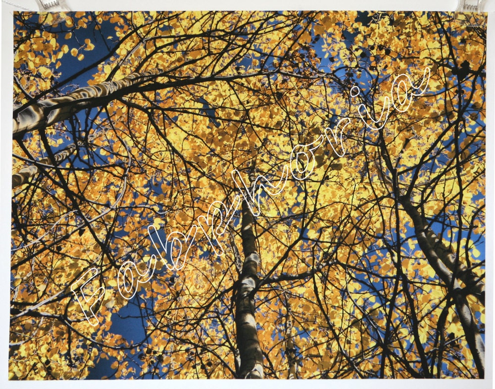 COTTON FABRIC Golden Aspen Tops Colorado Fall Color Artist Crafter Supply