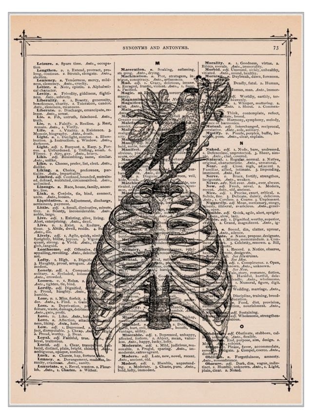 Steampunk Ribcage With Bird Vintage Dictionary Print Vintage Book Print Page Art Upcycled Vintage Book Art