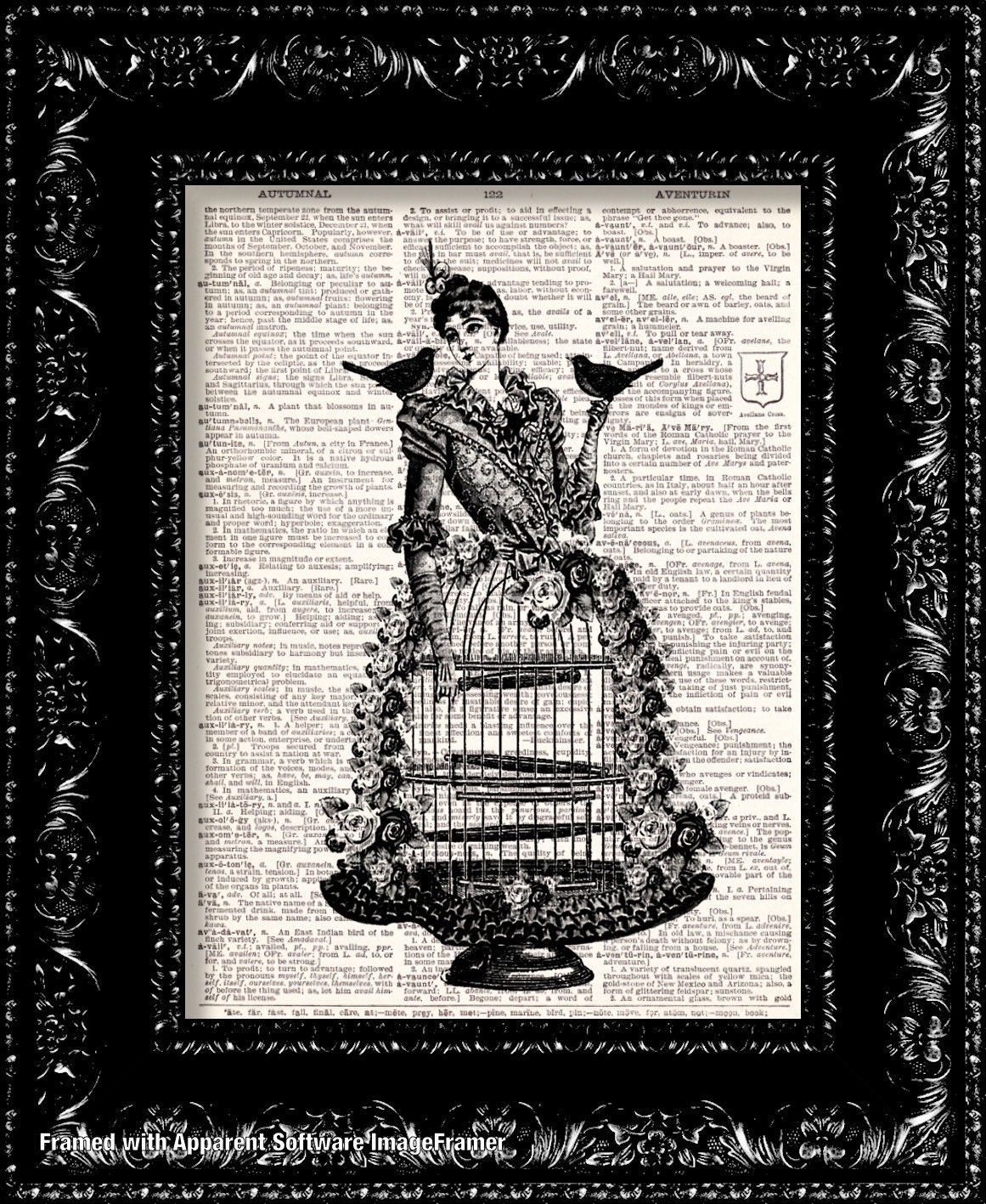 Birdcage Lady - Vintage Dictionary Print Vintage Book Print Page Art Upcycled Vintage Book Art