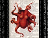 Rich Red Octopus - Vintage Dictionary Print Vintage Book Print Page Art Upcycled Vintage Book Art
