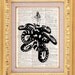Octopus Fashionista - Vintage Dictionary Print Vintage Book Print Page Art Upcycled Vintage Book Art