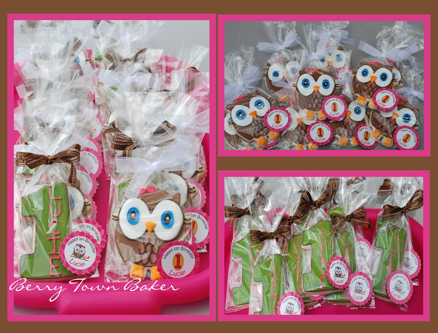 Look Whoo's Turning One 1st Birthday Party Owl Cookies