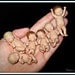 Custom Hand-Sculpted OOAK Baby or Elf / Miniature 1/12 scale Polymer Art Doll /