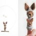 FINGER PUPPET MOBILE / Wall Hanging, Needle felted Kangaroo, Eco-Friendly Toy, home decor, children, baby, nursery, brown, gray, grey